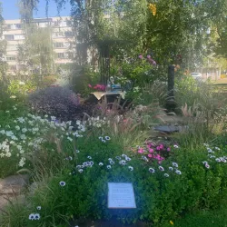 Arvika Old Town (Gamla Stan) - Arvika