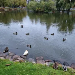 Arvika Old Town (Gamla Stan) - Arvika