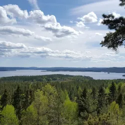 Glaskogen Nature Reserve - Arvika