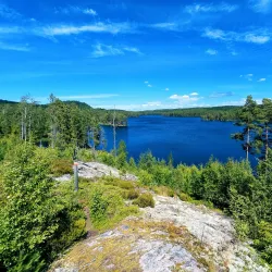 Glaskogen Nature Reserve - Arvika