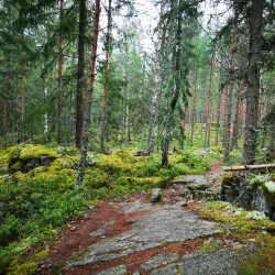 Glaskogen Nature Reserve - Arvika