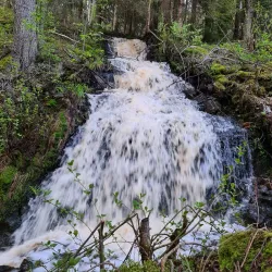 Glaskogen Nature Reserve - Arvika