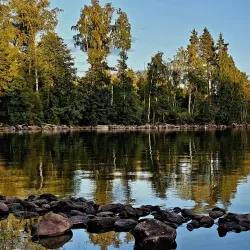 Glaskogen Nature Reserve - Arvika