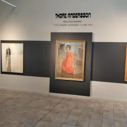 Rackstad Museum - Arvika