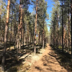 Skutberget Recreation Area - Arvika