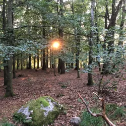 Annelundsparken - Boras