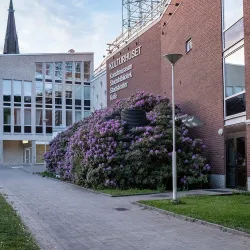 Borås City Library - Boras