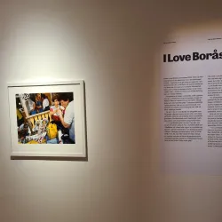 Borås Konstmuseum (Borås Art Museum) - Boras