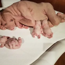 Borås Konstmuseum (Borås Art Museum) - Boras