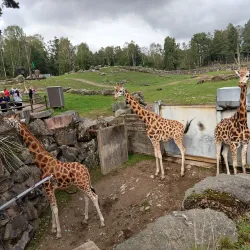 Borås Zoo - Boras