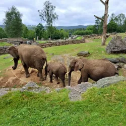 Borås Zoo - Boras