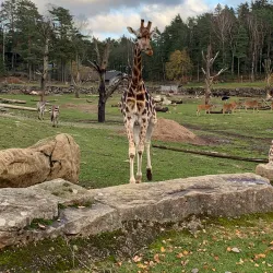 Borås Zoo - Boras