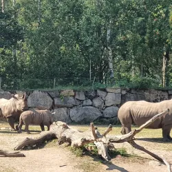 Borås Zoo - Boras
