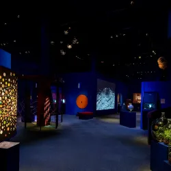 Navet Science Center - Boras