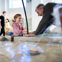 Navet Science Center - Boras