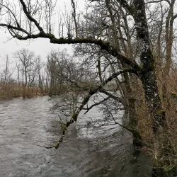 Viskan River Walk - Boras