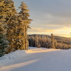Romme Alpin - Borlange