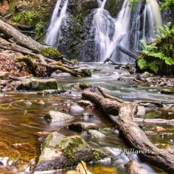 Forsakars Nature Reserve - Bromölla