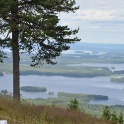 Ivö Island - Bromölla