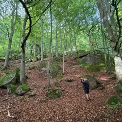Ivö Klack Nature Reserve - Bromölla