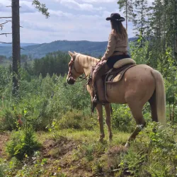 Bullmark Local Farm Visits - Bullmark