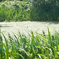 Ekolsund Castle - Enköping