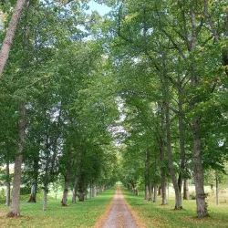 Ekolsund Castle - Enköping