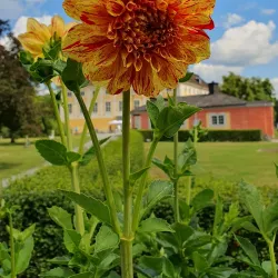 Ekolsund Castle - Enköping