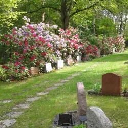 Enköping Church (Enköpings kyrka) - Enköping