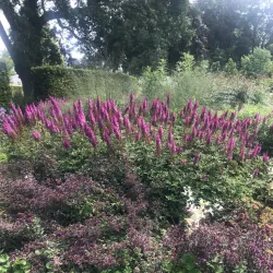 Enköping City Park (Stadsparken) - Enköping