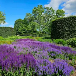 Enköping City Park (Stadsparken) - Enköping