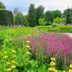 Enköping City Park (Stadsparken) - Enköping