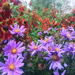 Enköping City Park (Stadsparken) - Enköping