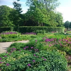 Enköping City Park (Stadsparken) - Enköping