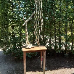 Enköping City Park (Stadsparken) - Enköping