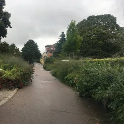 Enköping City Park (Stadsparken) - Enköping