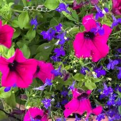 Enköping Marina - Enköping