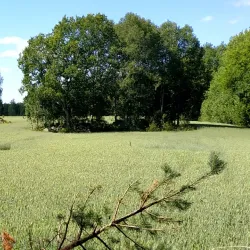 Lillån Nature Reserve - Enköping