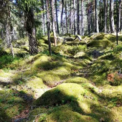 Lillån Nature Reserve - Enköping