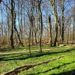 Toppeladugård Nature Reserve - Eslov