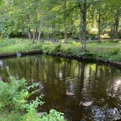 Boulognerskogen City Park - Gavle