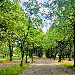 Boulognerskogen City Park - Gavle