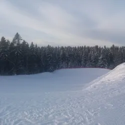 Hemlingby Nature Reserve - Gavle