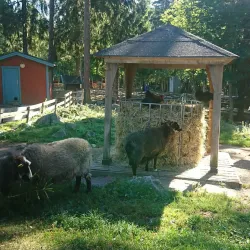 Hemlingby Nature Reserve - Gavle