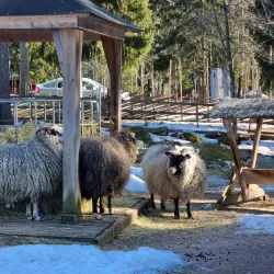 Hemlingby Nature Reserve - Gavle