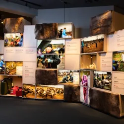 Laponia World Heritage Area - Gällivare