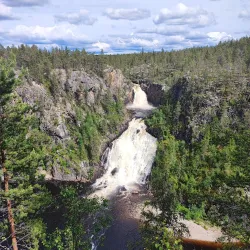Muddus National Park - Gällivare