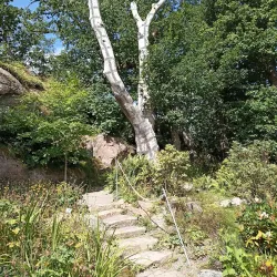 Gothenburg Botanical Garden - Gothenburg