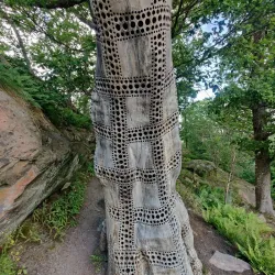 Gothenburg Botanical Garden - Gothenburg