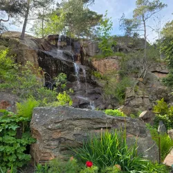 Gothenburg Botanical Garden - Gothenburg